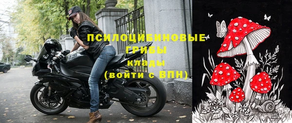индика Алексеевка