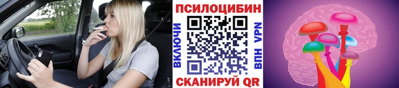купить наркоту  Лабытнанги  Псилоцибиновые грибы мицелий 